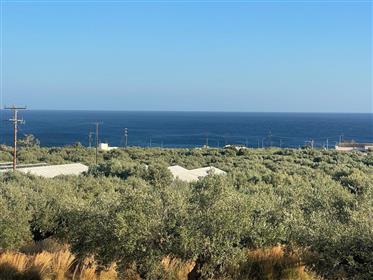 Grand terrain à bâtir à seulement 1,5 km de la mer à Koutsouras, Makry Gialos, sud-est de la Crète.