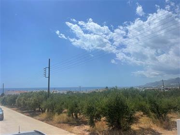 Terrain de 1627 m2 à seulement 1 km de la mer à Makry Gialos, sud-est de la Crète.