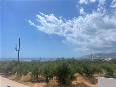 Plot of land of 1627m2 just 1km from the sea in Makry Gialos, South East Crete.