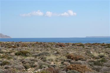 Terrain à bâtir au bord de l'eau à Kalo Nero, Makry Gialos, sud-est de la Crète.