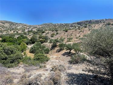 Agrarisch perceel van 20.000m2 met een klein huis in Maroulas, Makry Gialos, Oost-Kreta.