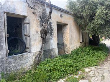 Maison avec cour à 7 km de la mer à Stavrochori, Makry Gialos, sud-est de la Crète.