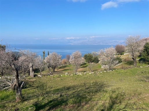 Pozemek o rozloze 2400 m² na Korfu