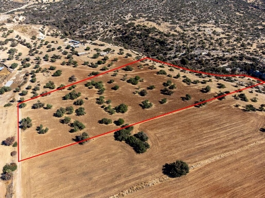 Terrain 26924 m² Paphos