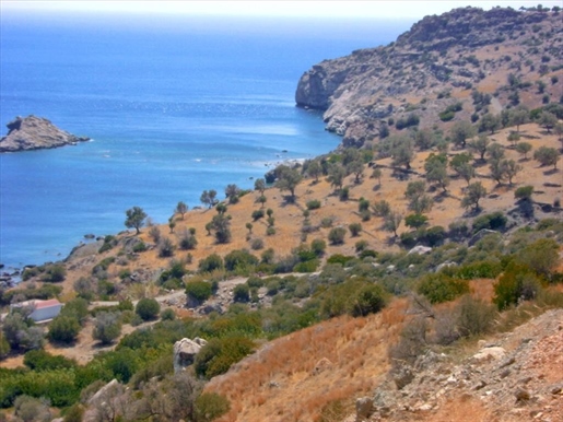 Terrain de 4150 m² en Crète