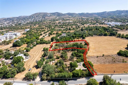 Grundstück 2676 m² Paphos