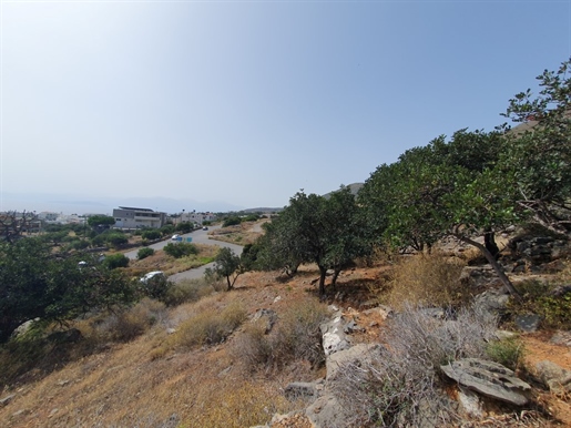 Terrain de 5834 m² en Crète