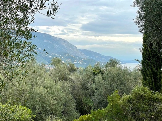 Land 2463 m² Corfu