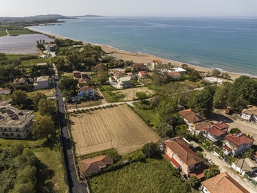Land 800 m² Western Peloponnese