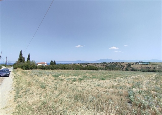 Land 6800 m² in the suburbs of Thessaloniki