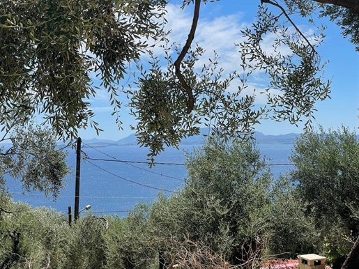 Land 2200 m² in Corfu