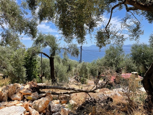 Działka o powierzchni 2200 mkw na Korfu