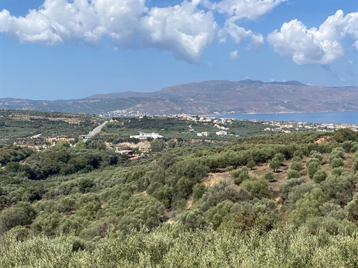 Land 5350 m² in Crete