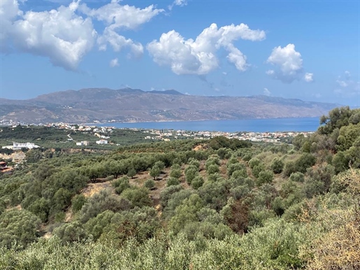 Land 5350 m² in Crete