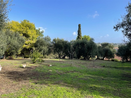 Grundstück von 8500 m² auf Korfu
