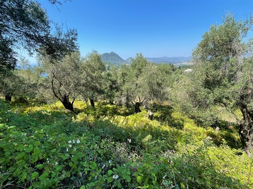 Land van 1202 m² in Corfu