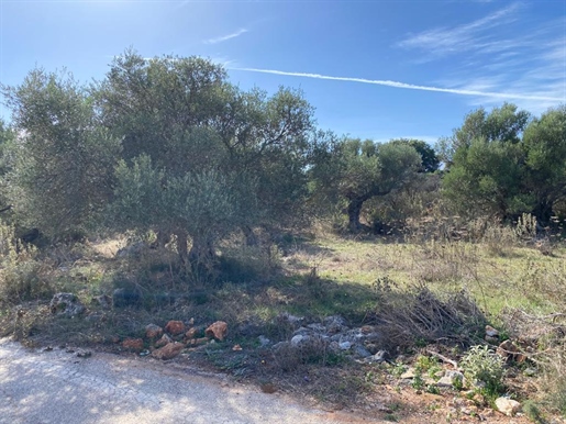 Land 1670 m² in Crete