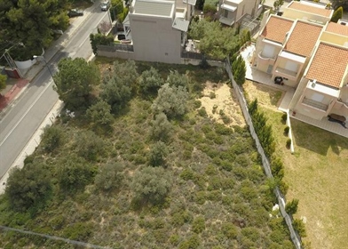 Land 1139 m² in Athens