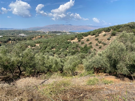 Grundstück von 3750 m² auf Kreta
