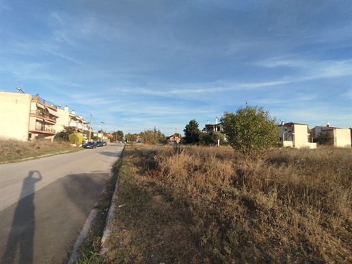 Grundstück von 3000 qm in den Vororten von Thessaloniki