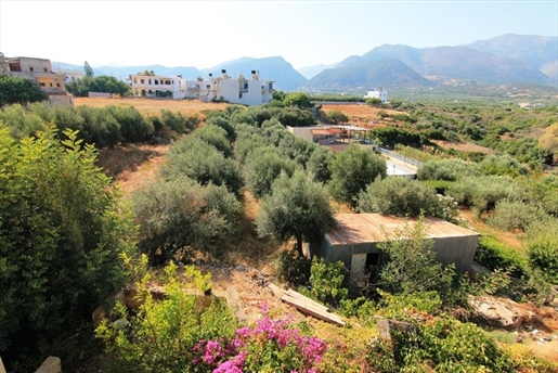 Terrain de 3000 m² en Crète