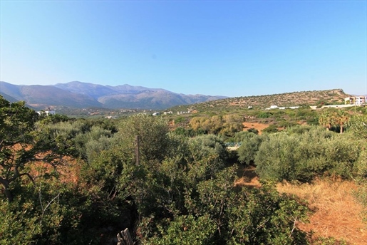 Terrain de 3000 m² en Crète