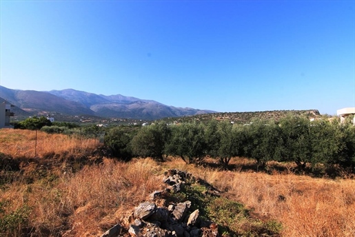 Αγροτεμάχιο 3000 τ.μ. στην Κρήτη