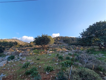 Land 4300 m² in Crete