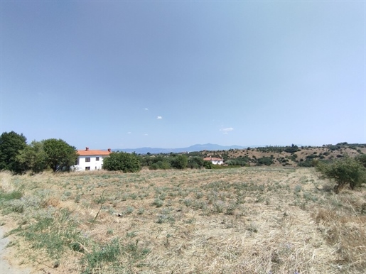 Terrain de 4700 m² dans la banlieue de Thessalonique