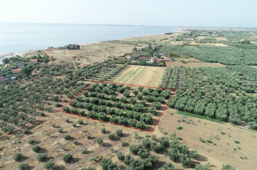 Land 4010 m² in Chalkidiki