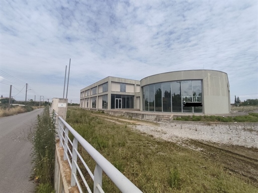 Business 4100 m² in the suburbs of Thessaloniki