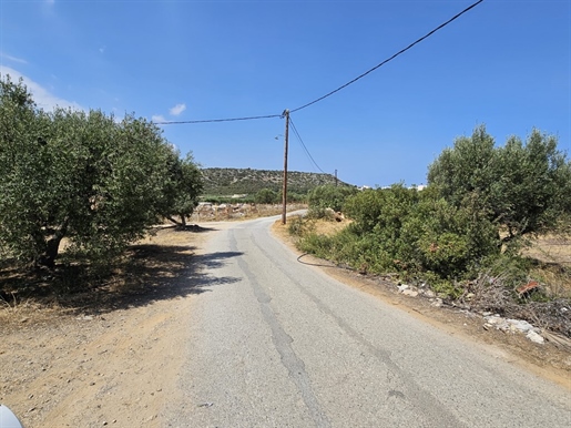 Terrain de 3700 m² en Crète