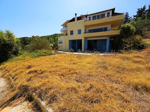 Villa 384 m² en Crète