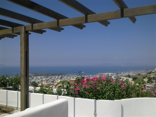 Detached house 483 m² in Athens