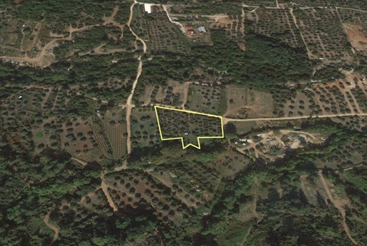 Land 4848 m² on the island of Thassos
