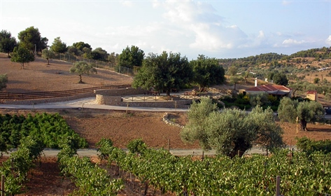 Land 44600 m² in Eastern Peloponnese - Ermionida