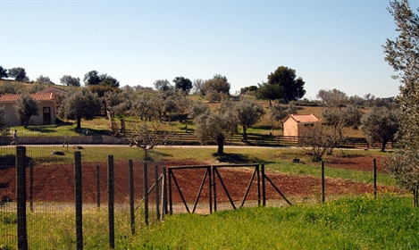 Land 44600 m² in Eastern Peloponnese - Ermionida