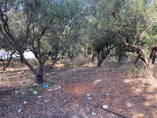 Grundstück von 1010 m² auf Kreta