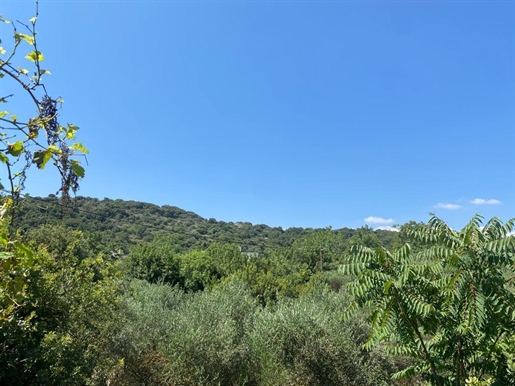 Grundstück von 5640 m² auf Kreta