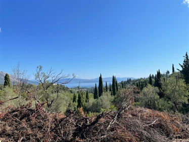 Grundstück 4100 m² in Korfu