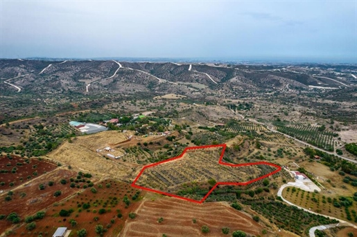 Land 12710 m² Larnaka