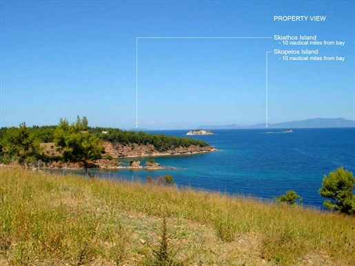 Land van 4046 m² in Evia