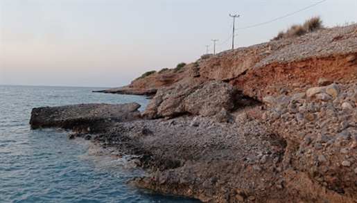 Land 5159 m² in Crete