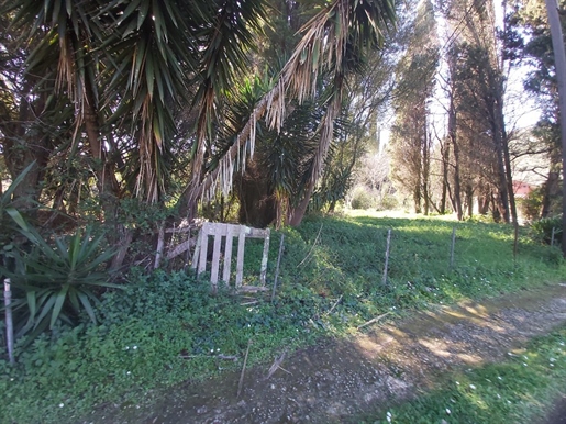 Grundstück 2770 m² Korfu