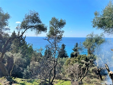 Grundstück 4000 m² auf Korfu