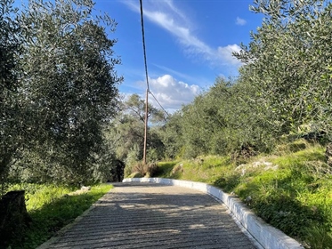 Grundstück 4000 m² auf Korfu