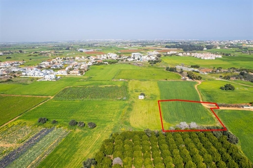 Land 3303 m² Agia Napa