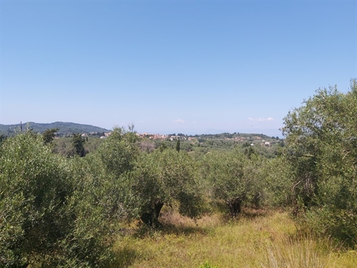 Grundstück von 4800 m² in Korfu
