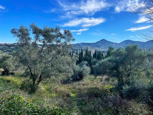 Grundstück 8781 m² Korfu