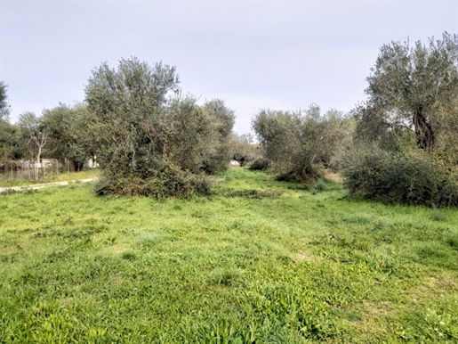 Land 2307 m² Corfu